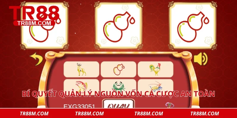 Bí quyết quản lý nguồn vốn cá cược an toàn