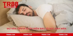 Mơ rắn cắn