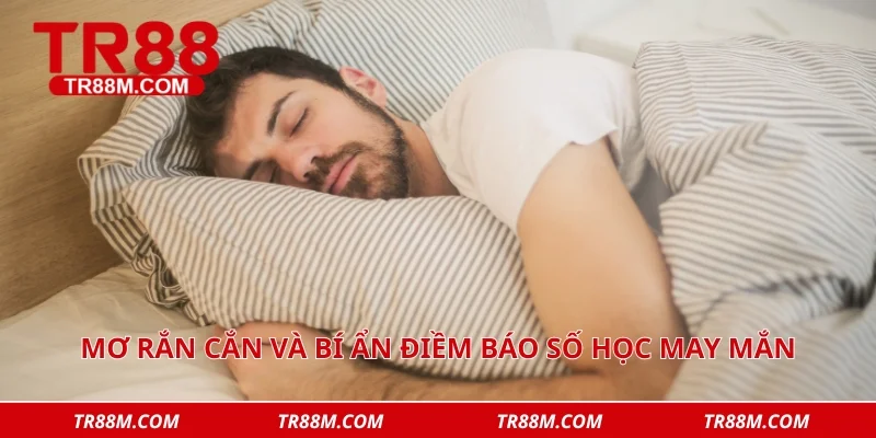 Mơ rắn cắn