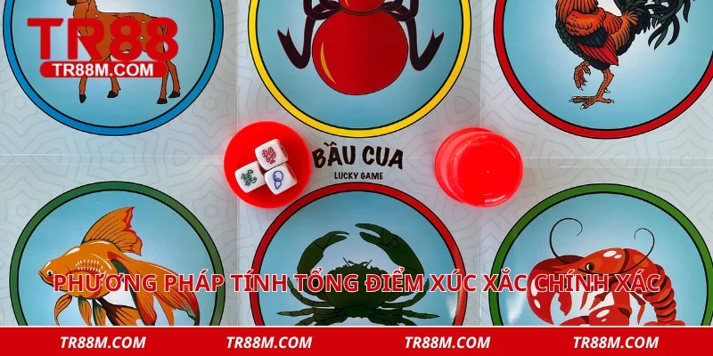 Phương pháp tính tổng điểm xúc xắc chính xác