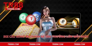 Soi cầu rồng bạch kim